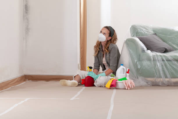 Reliable Mold Remediation contractor in Somerset, KY by WQB Mold Removal